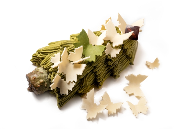 Butterfly Tree 6-7 pers